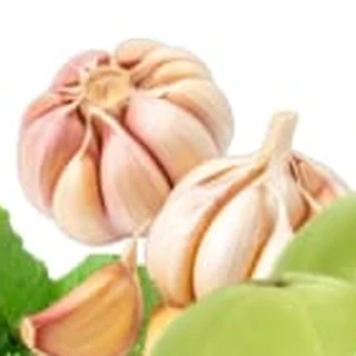 Garlic bulbs and cloves